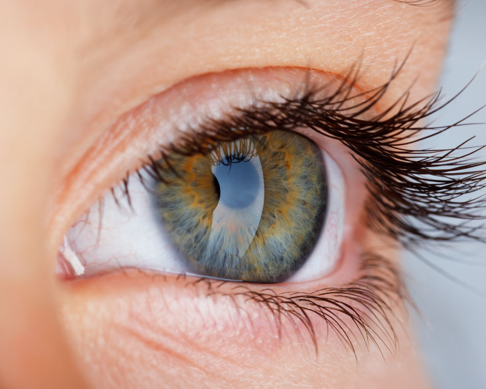 extreme close up of an eye