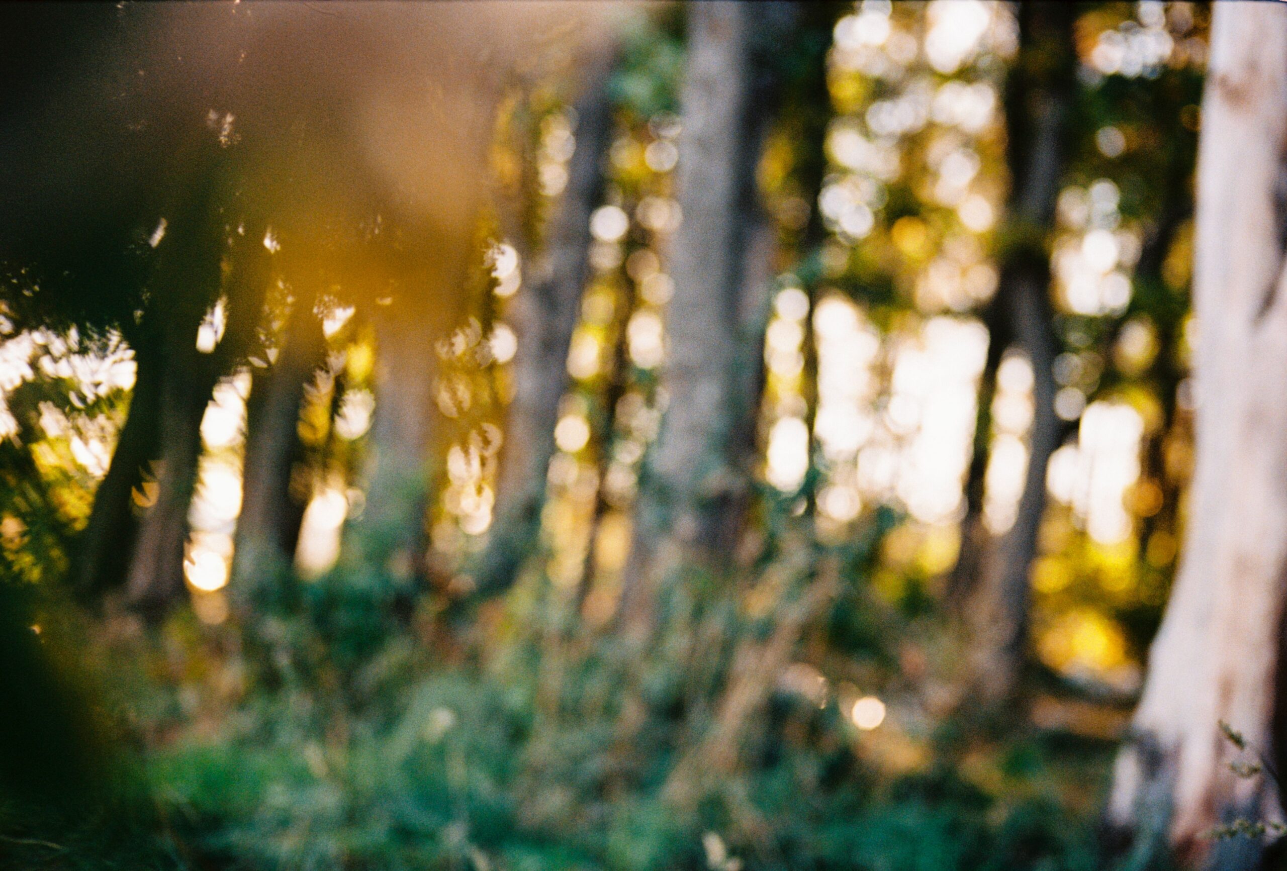 hazy vision
